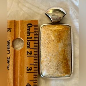 Stunning Fossil Coral pendant set in Sterling Silver, rectangular gemstone